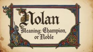 nolan name meaning